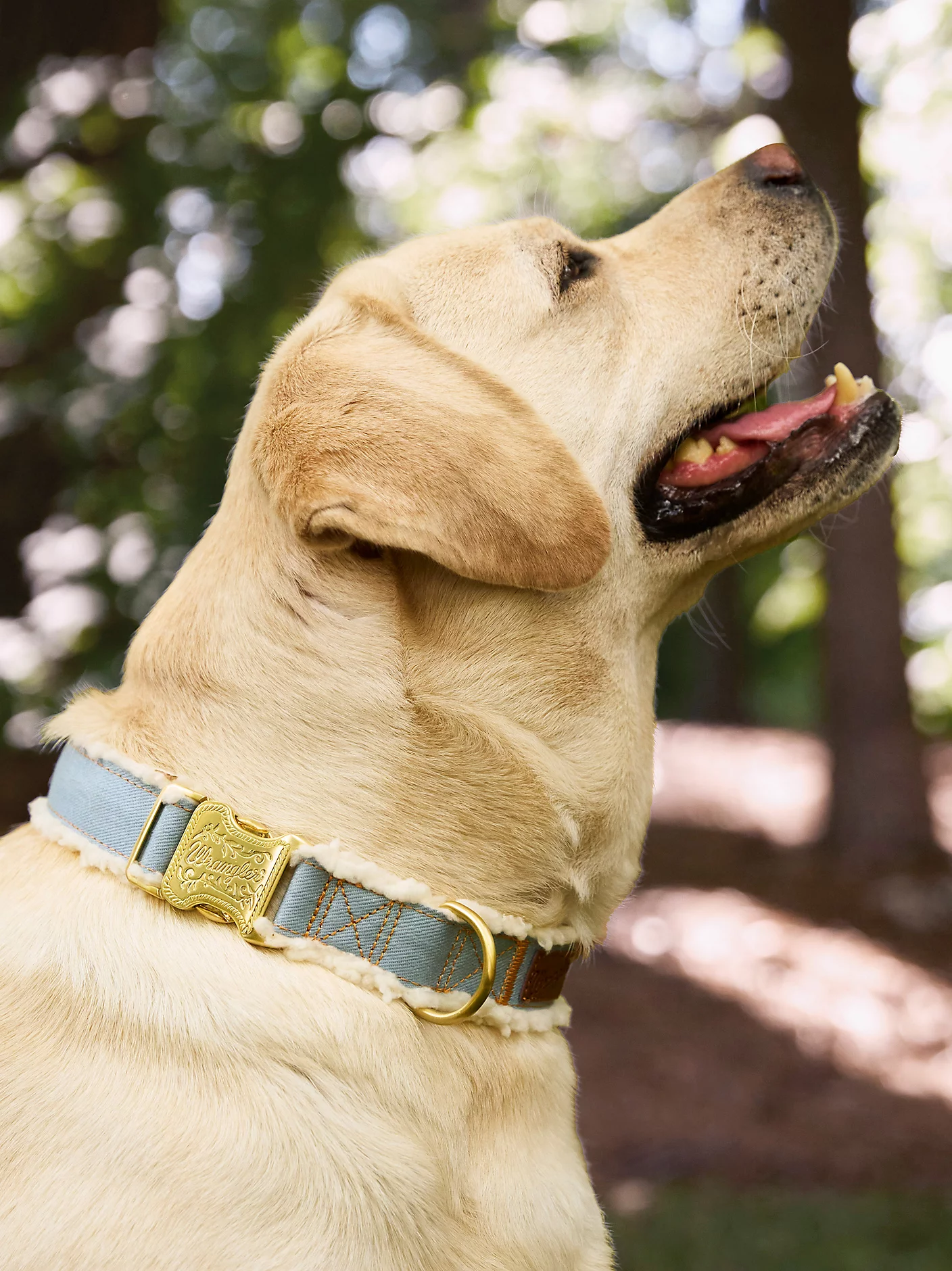 Denim Sherpa Dog Collar