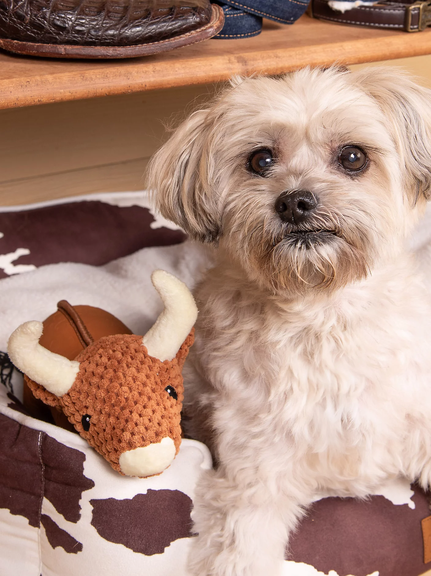 Cow Plush Dog Toy